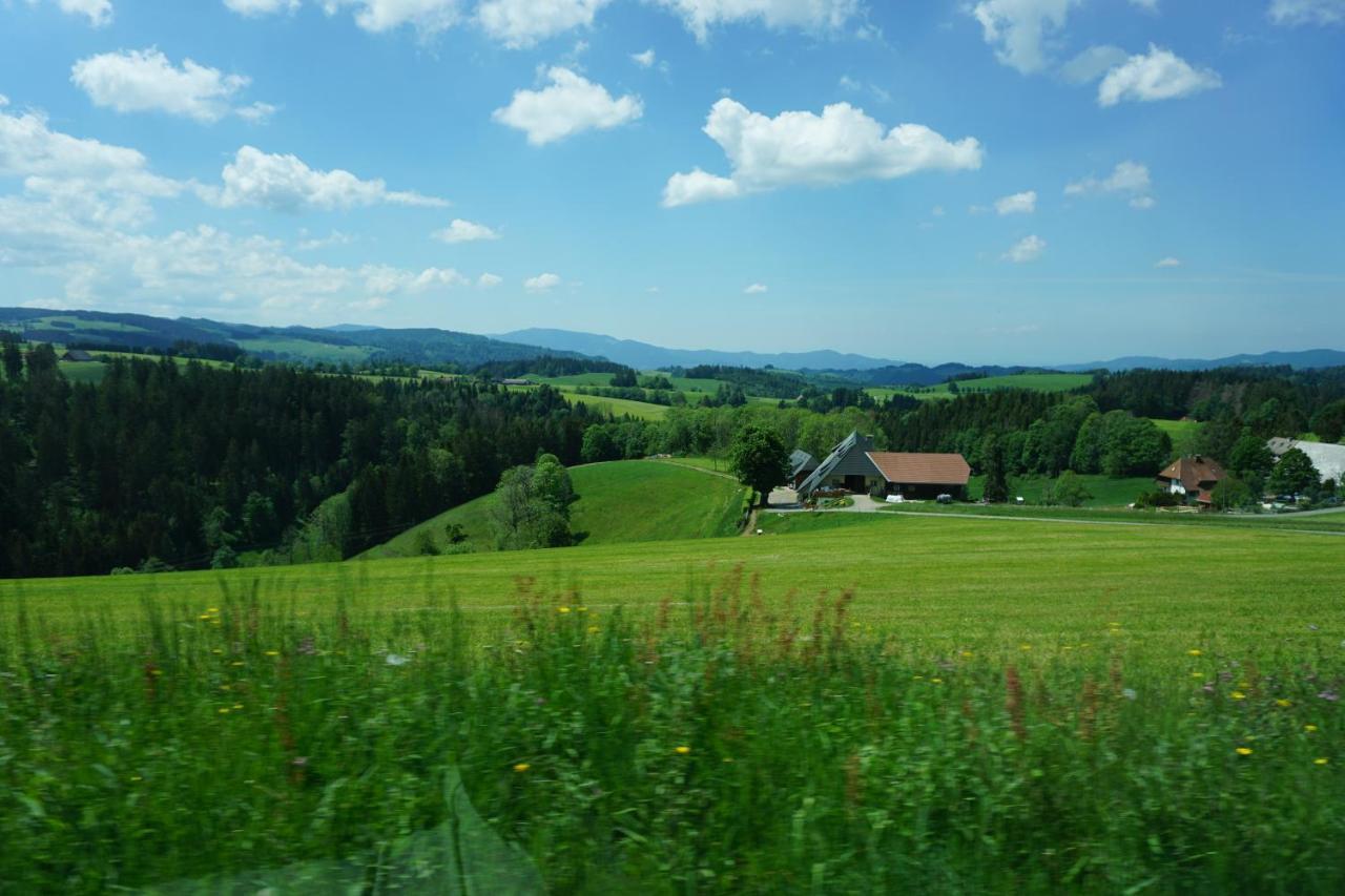 Kurparkhotel Faisst Bad Peterstal-Griesbach Exterior foto