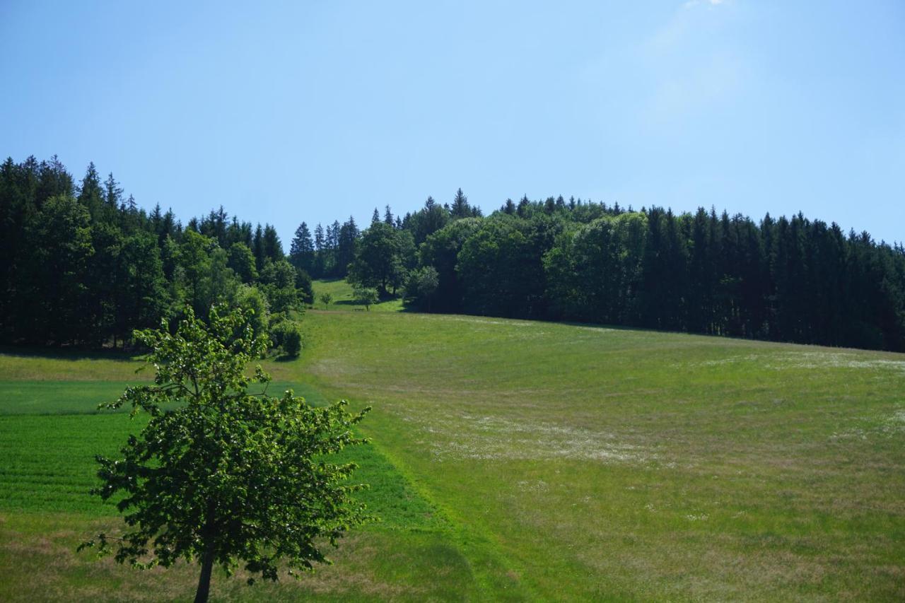 Kurparkhotel Faisst Bad Peterstal-Griesbach Exterior foto